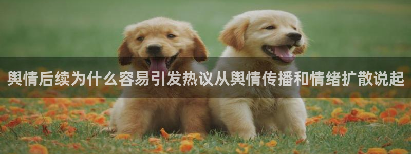 51吃瓜网络热门