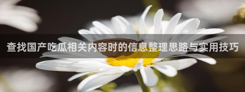 吃瓜网站大全