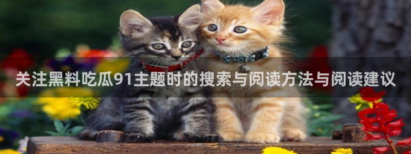 今日网络资讯