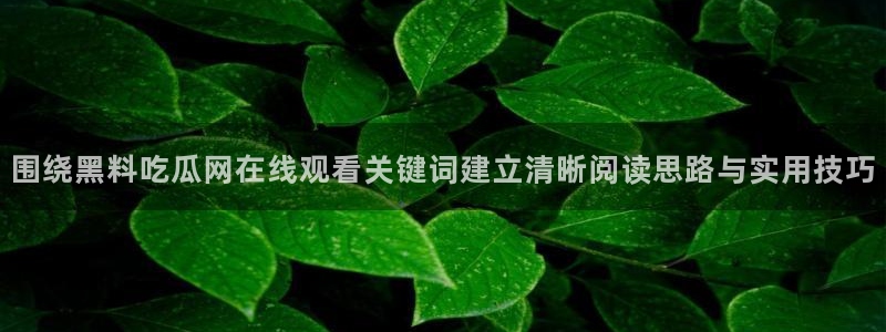 网络热点事件